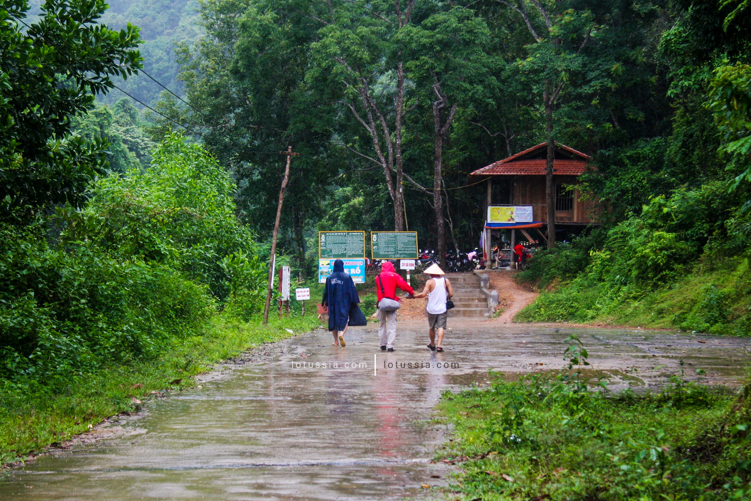 khe ro forest photo gallery bac giang