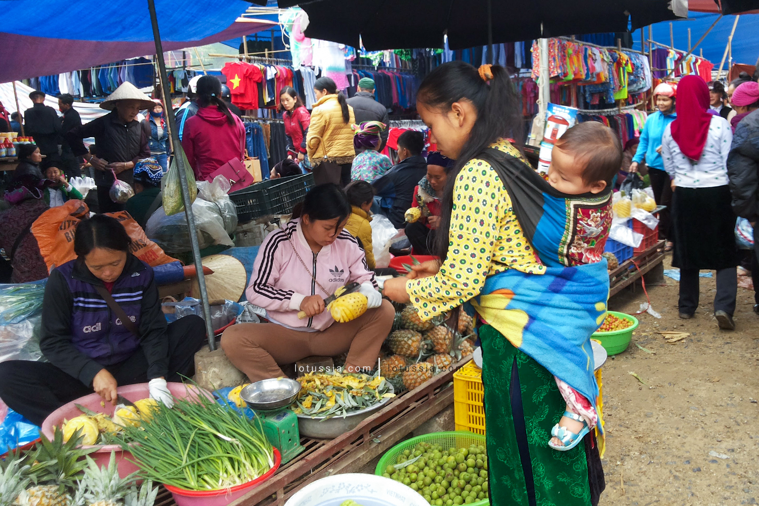 ha giang market vietnam